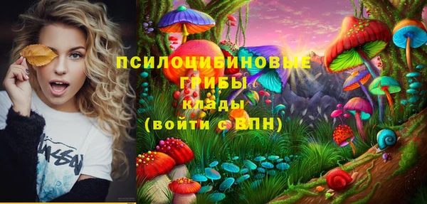 дмт Зеленодольск
