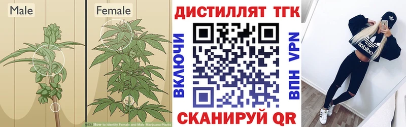 kraken   Сочи  ТГК THC oil 